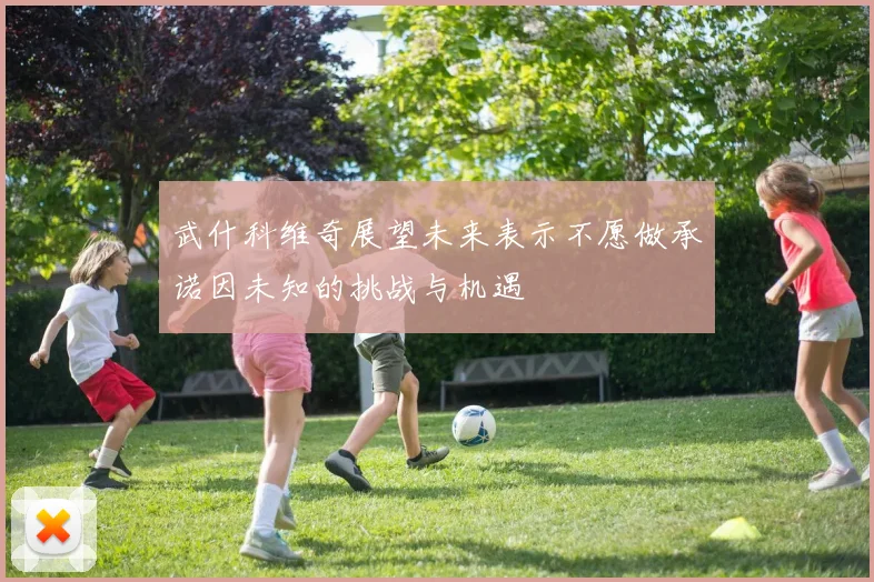 武什科维奇展望未来表示不愿做承诺因未知的挑战与机遇